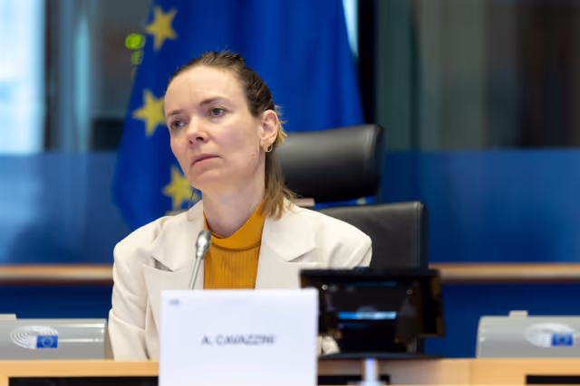 Foto 22: IMCO - Report on the Future of the Single Market