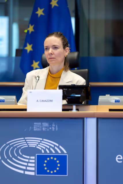 Foto 21: IMCO - Report on the Future of the Single Market