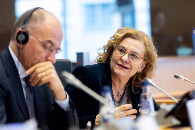 Foto 13: IMCO - Report on the Future of the Single Market