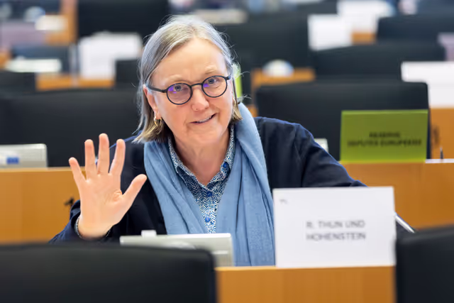 Foto 11: IMCO - Report on the Future of the Single Market