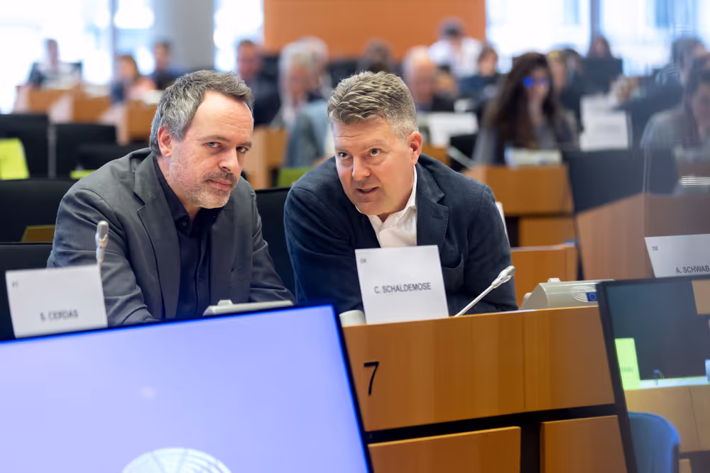 IMCO - Report on the Future of the Single Market