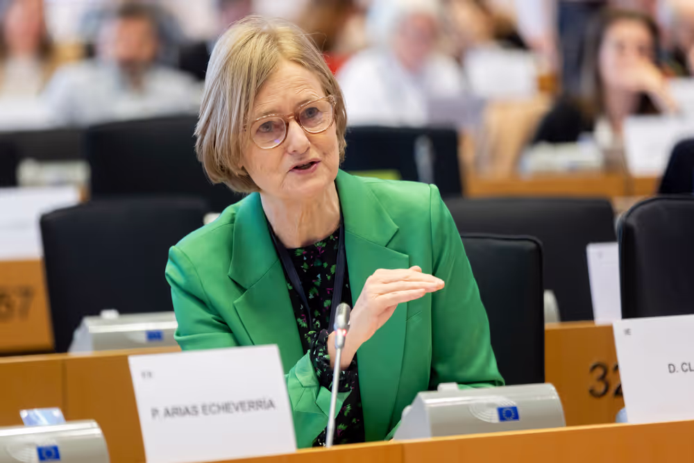 IMCO - Report on the Future of the Single Market