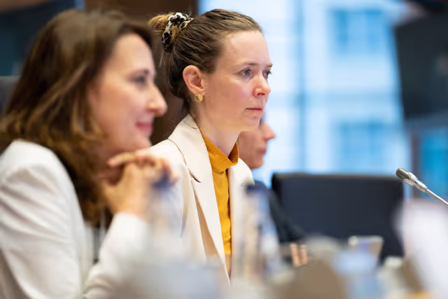 Foto 46: IMCO - Report on the Future of the Single Market