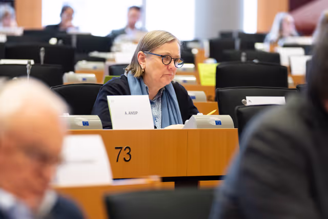 Foto 42: IMCO - Report on the Future of the Single Market