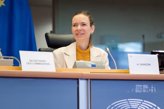 Foto 33: IMCO - Report on the Future of the Single Market