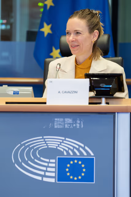 Foto 32: IMCO - Report on the Future of the Single Market