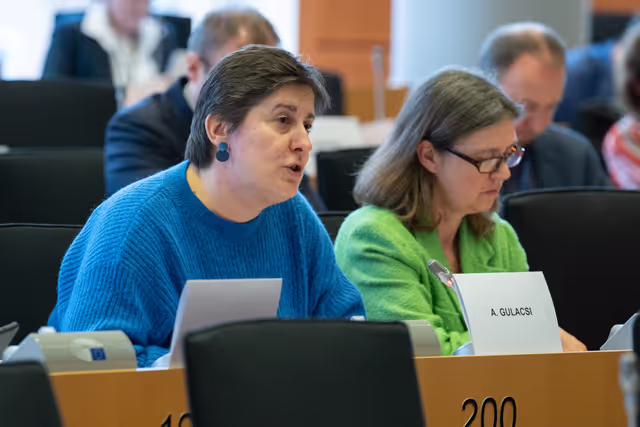 Foto 30: IMCO - Report on the Future of the Single Market