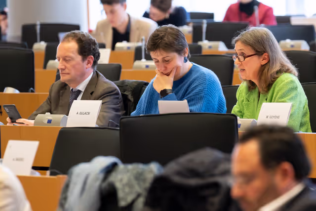 Foto 29: IMCO - Report on the Future of the Single Market