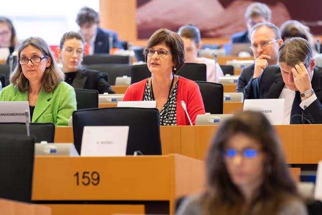 Foto 28: IMCO - Report on the Future of the Single Market