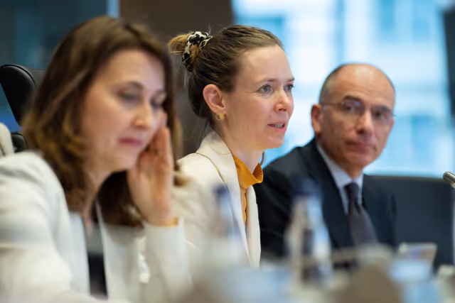 Foto 27: IMCO - Report on the Future of the Single Market