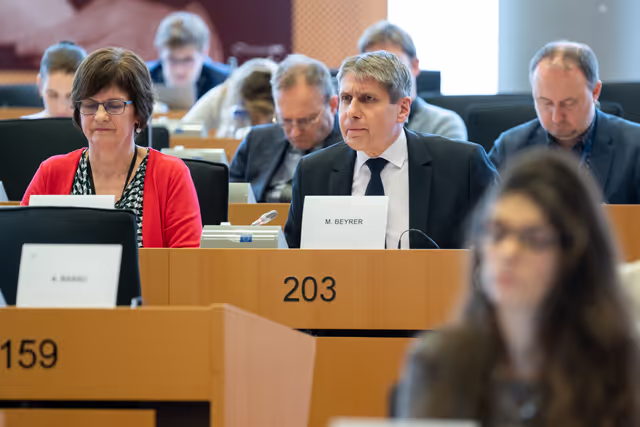 Foto 26: IMCO - Report on the Future of the Single Market