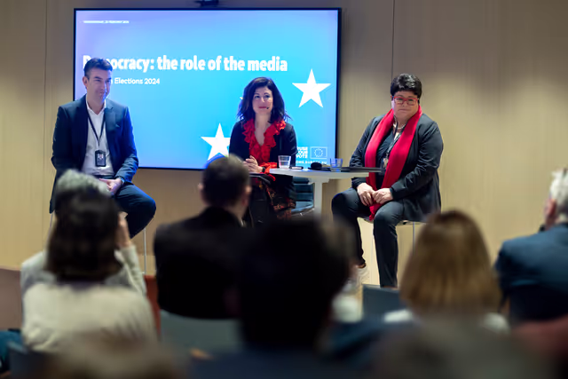 Democracy: the role of the media - European Elections 2024