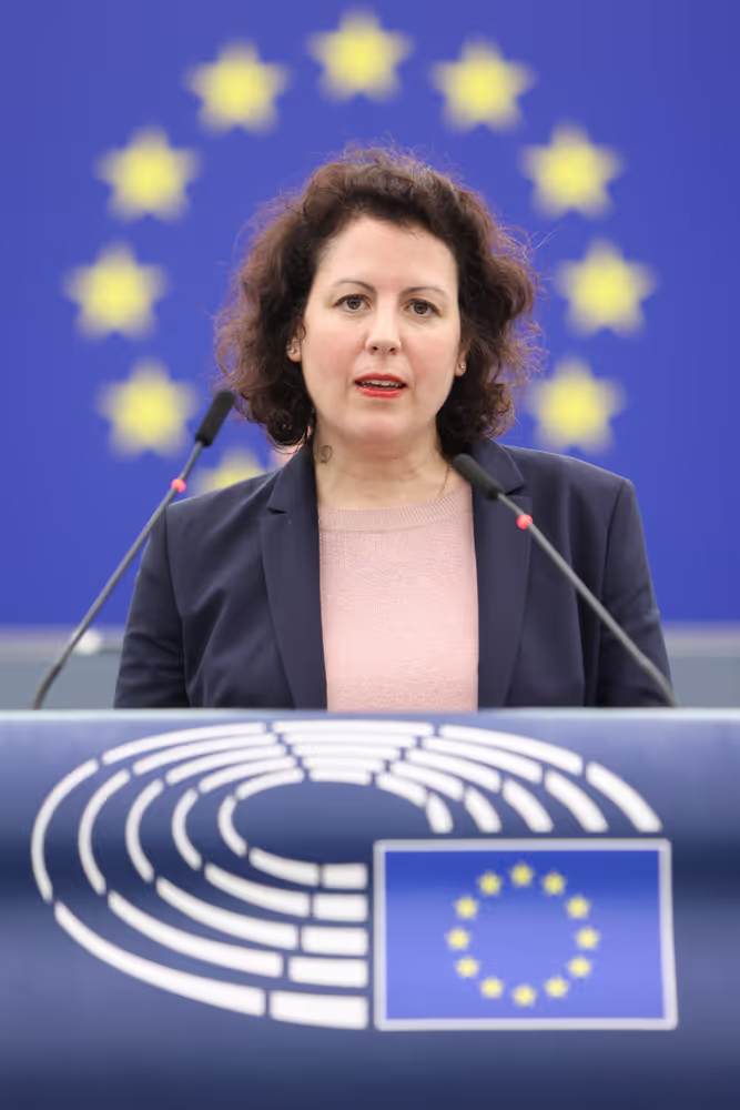 EP Plenary session - Detergents and surfactants