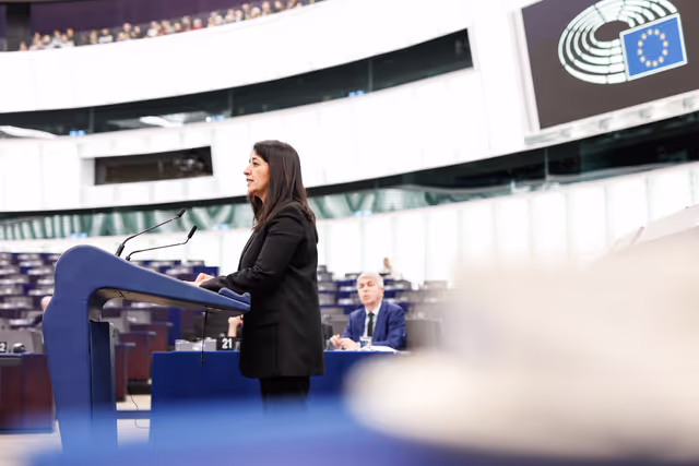Photo 37: EP Plenary session - Debate on Driving licences