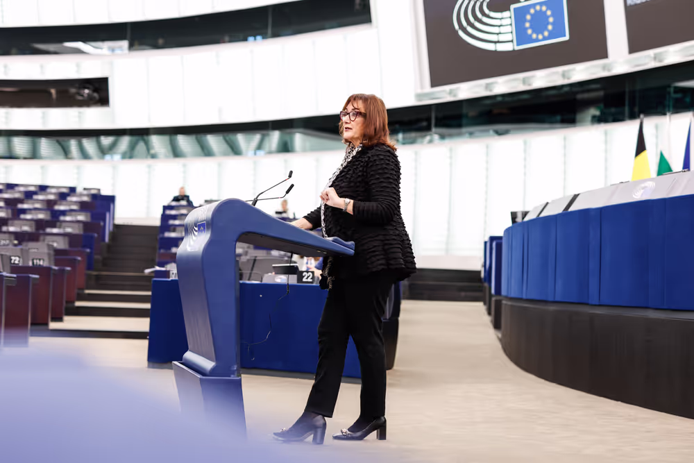 EP Plenary session - Debate on Driving licences