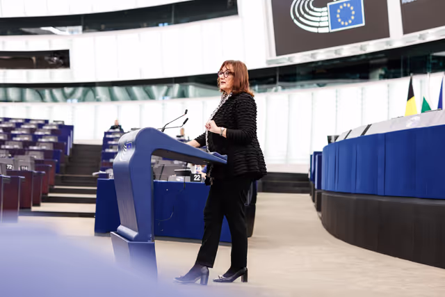 Photo 34: EP Plenary session - Debate on Driving licences