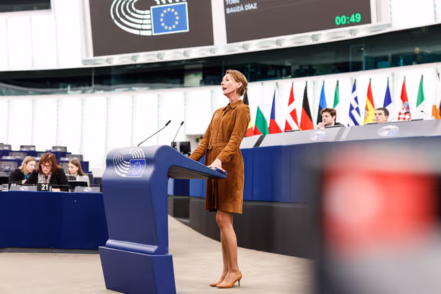 Photo 11: EP Plenary session - Debate on Driving licences