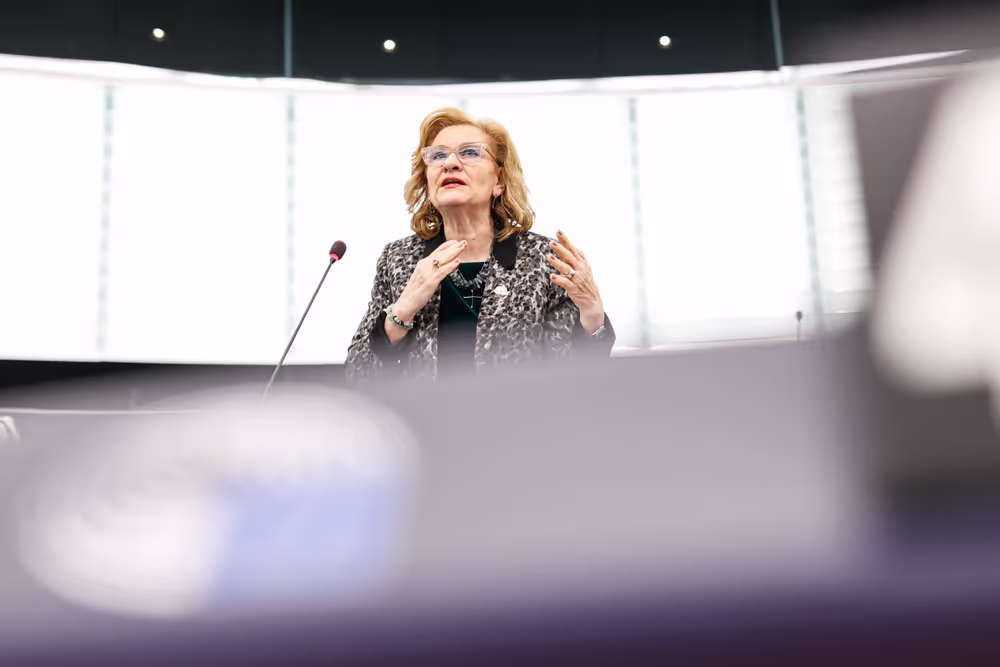 EP Plenary session - Debate on Driving licences