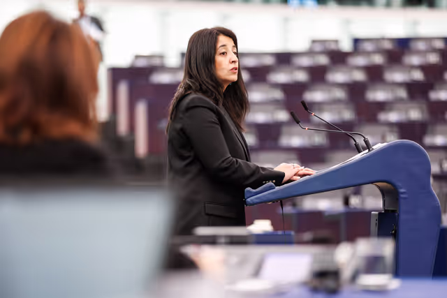 Photo 38: EP Plenary session - Debate on Driving licences