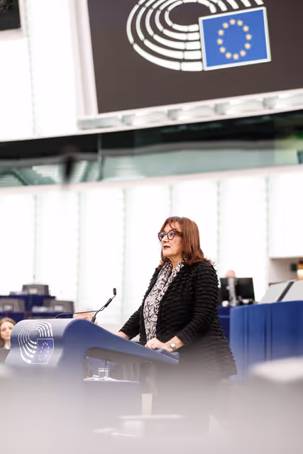 Photo 36: EP Plenary session - Debate on Driving licences