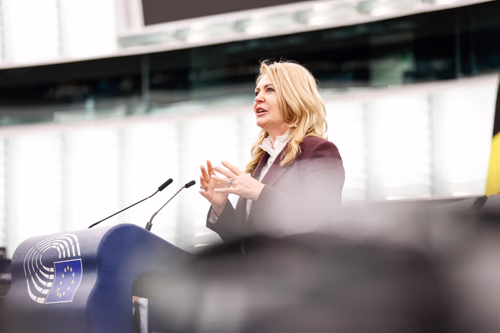 EP Plenary session - Debate on Driving licences