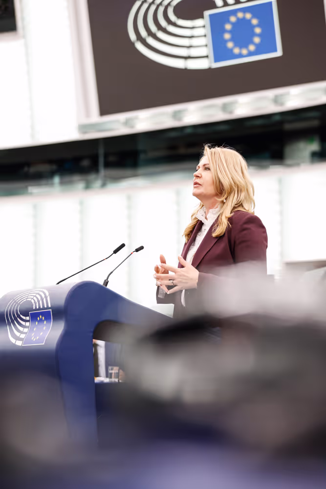 EP Plenary session - Debate on Driving licences
