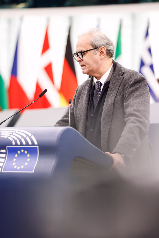 EP Plenary session - Debate on Driving licences