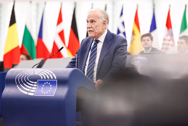 EP Plenary session - Debate on Driving licences