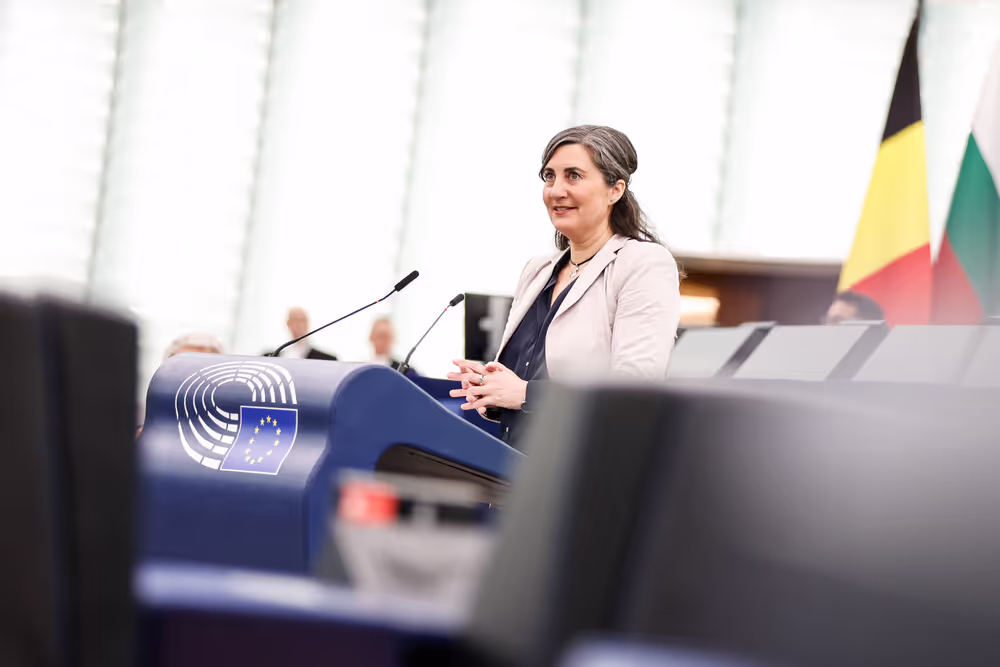 EP Plenary session - Debate on Driving licences