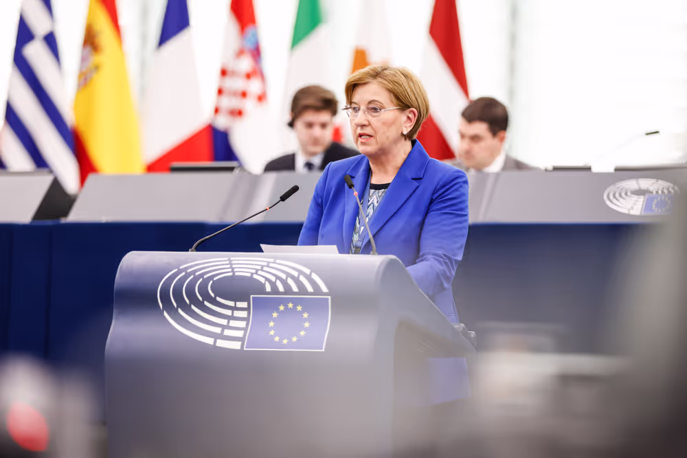 EP Plenary session - Debate on Driving licences