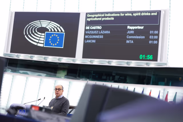 Fotografia 46: EP Plenary session - Debate - Geographical Indications for wine, spirit drinks and agricultural products