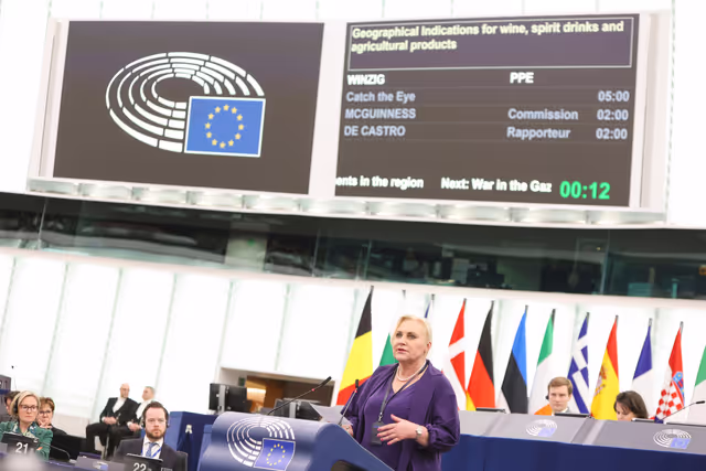 Fotografia 6: EP Plenary session - Debate - Geographical Indications for wine, spirit drinks and agricultural products