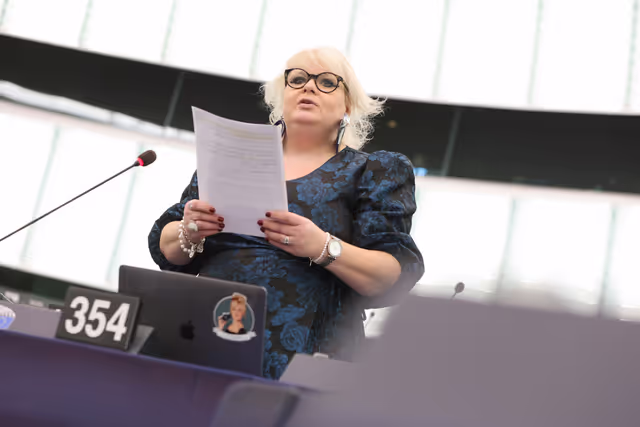 Fotografia 1: EP Plenary session - Debate - Geographical Indications for wine, spirit drinks and agricultural products