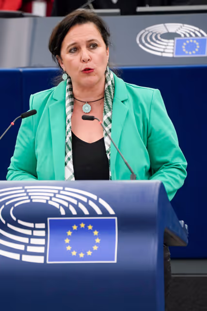 Foto 30: EP Plenary session - Debate - HRVP statement - War in the Gaza Strip