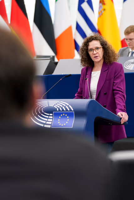 Foto 25: EP Plenary session - Debate - HRVP statement - War in the Gaza Strip