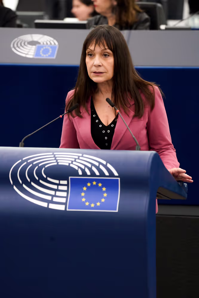 EP Plenary session - Report on the Commission’s 2023 Rule of Law report