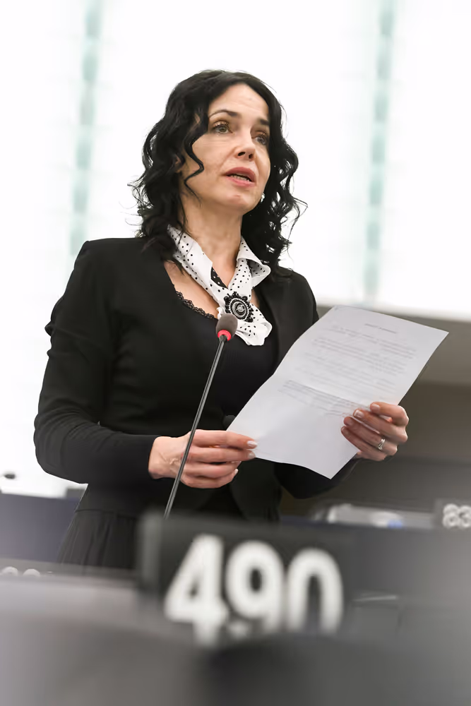 EP Plenary session - Deepening EU integration in view of future enlargement