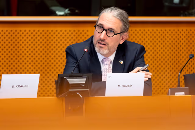 Fotografija 36: Sakharov Fellowship 2024