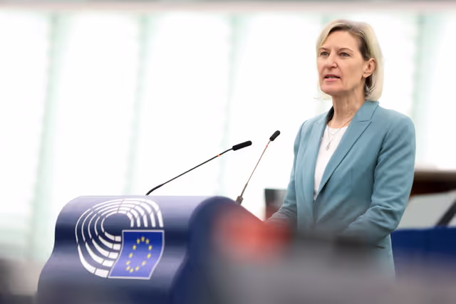 Foto 25: EP Plenary session - Energy performance of buildings