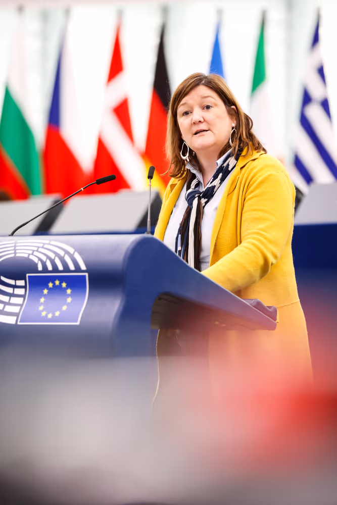 EP Plenary session - Council decision inviting Member States to ratify the Violence and Harassment Convention