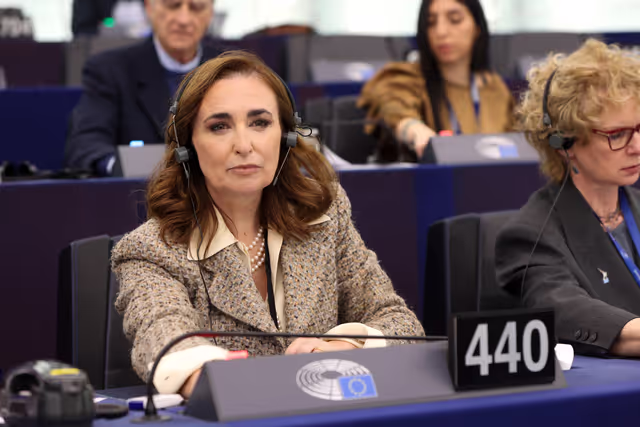 Photo 38: EP Plenary session - Voting session