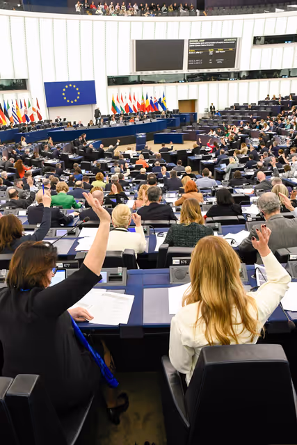 Photo 5: EP Plenary session - Voting session