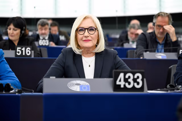 Zdjęcie 21: EP Plenary session - Voting session