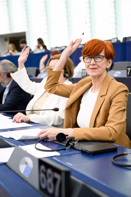 Zdjęcie 13: EP Plenary session - Voting session