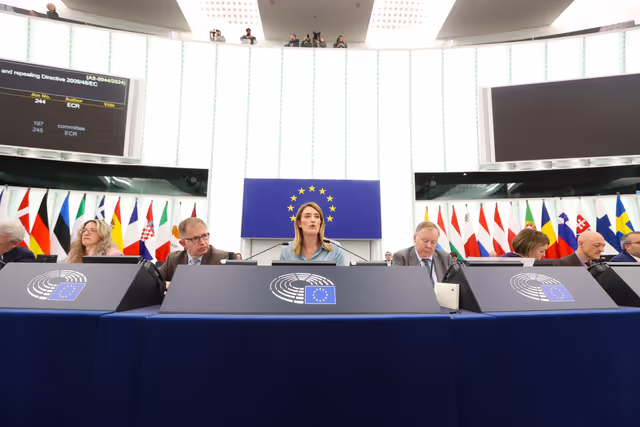 Zdjęcie 8: EP Plenary session - Voting session
