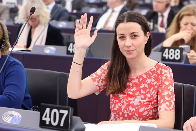 EP Plenary session - Voting session