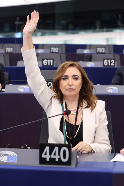 Zdjęcie 14: EP Plenary session - Voting session
