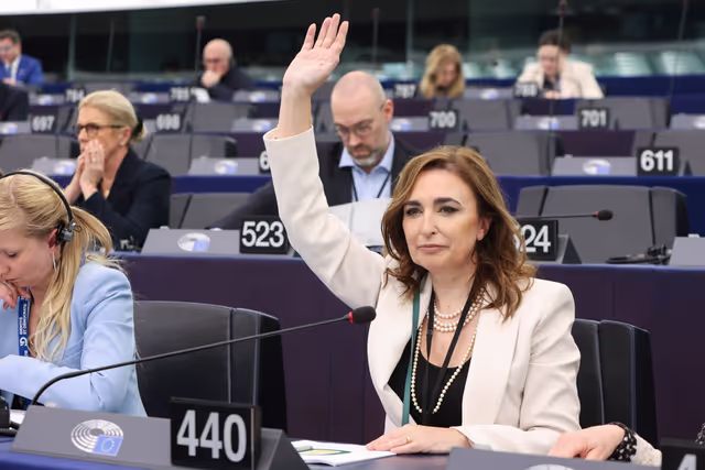 Zdjęcie 10: EP Plenary session - Voting session