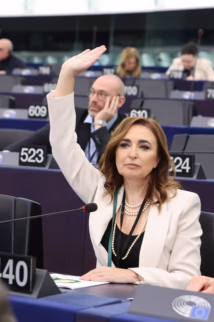 Zdjęcie 11: EP Plenary session - Voting session