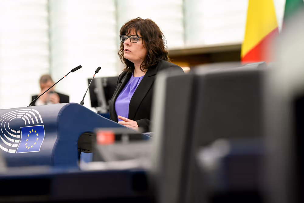 EP Plenary session - Guidelines for the 2025 Budget - Section III